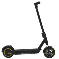 350W Erwachsene IoT QR Scan Electric Sharing Scooters